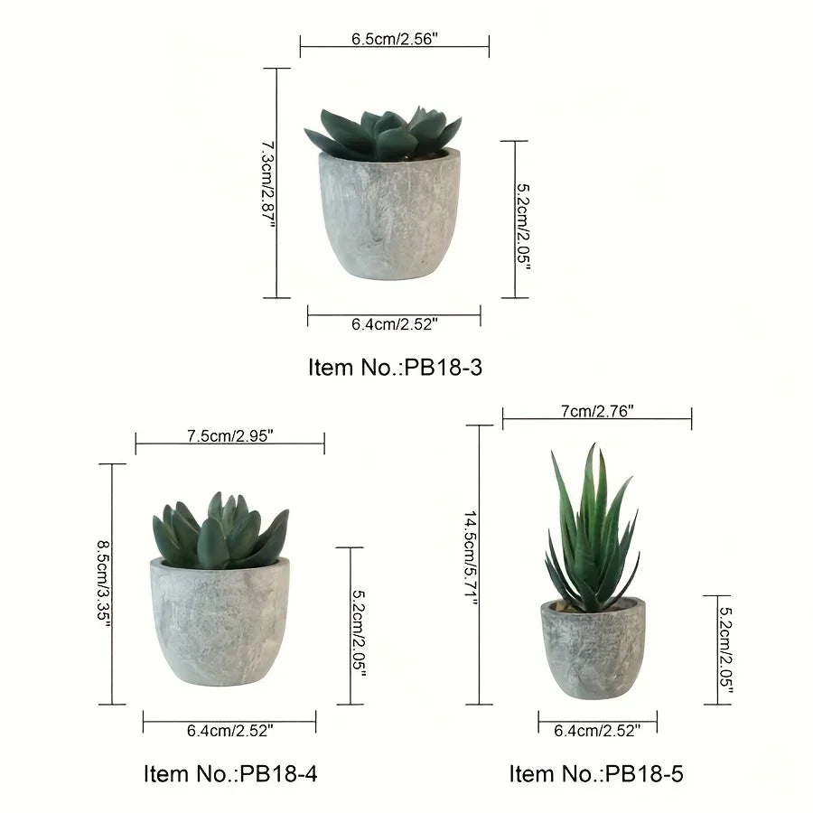Succulent Plant Set in Concrete Pots, Low Maintenance Indoor Decor, side view - House Of Avana