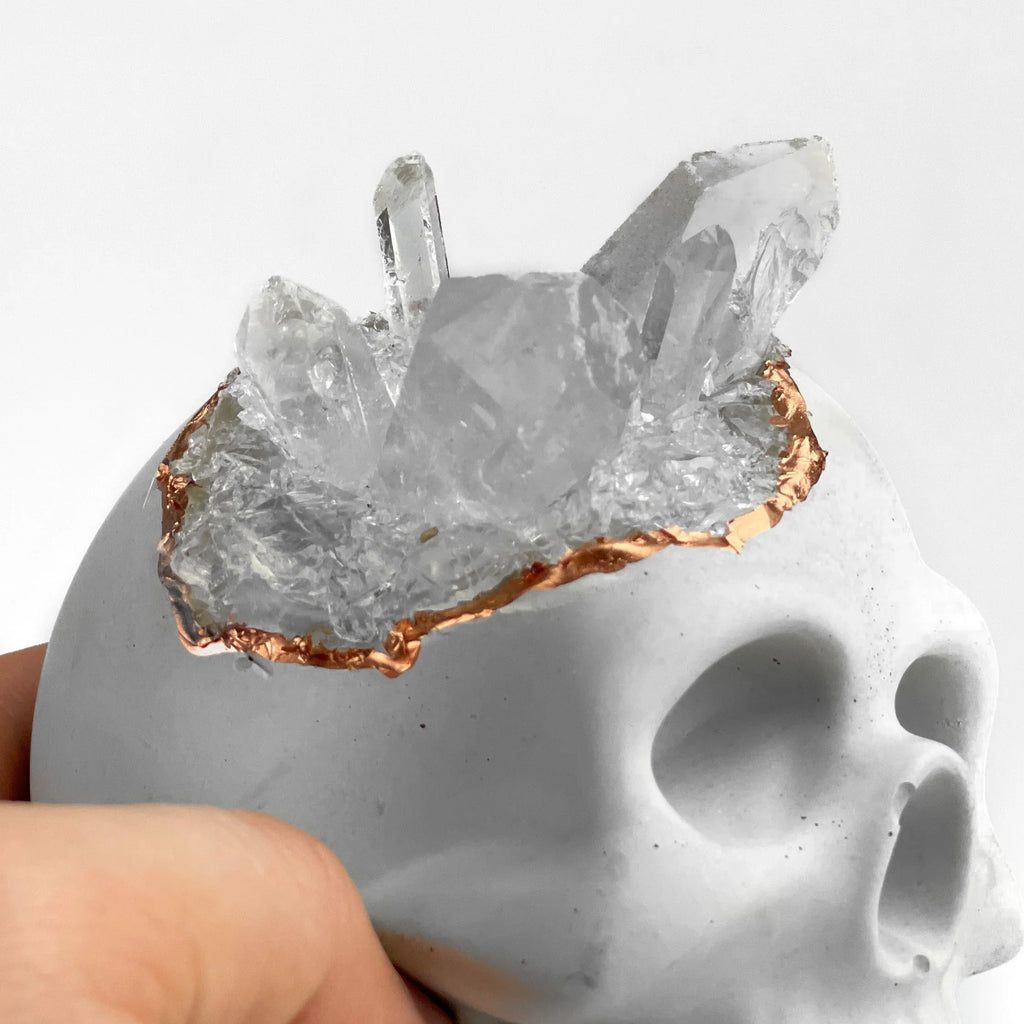 Decorative Skull - Clear Crystal Accent, texture detail - House Of Avana