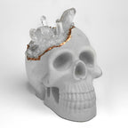 Decorative Skull - Clear Crystal Accent, side view - House Of Avana