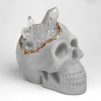 Decorative Skull - Clear Crystal Accent, detail shot - House Of Avana
