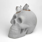 Decorative Skull - Clear Crystal Accent, top view - House Of Avana