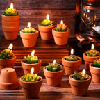 Succulent Candles Decorative Cactus Tealight - House Of Avana