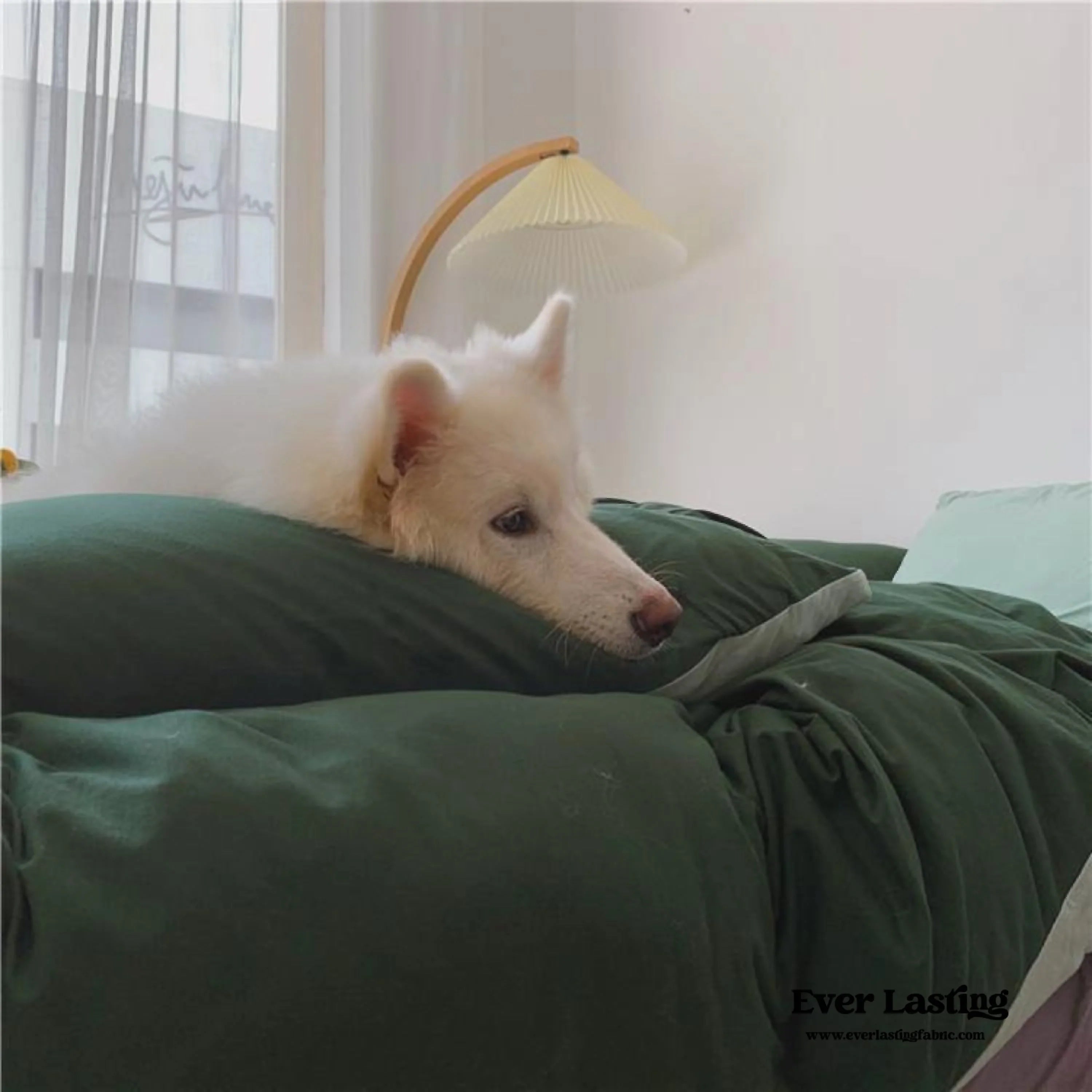 Duo Bedding Set / Forest Green Ever Lasting