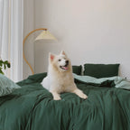 Duo Bedding Set / Forest Green Ever Lasting