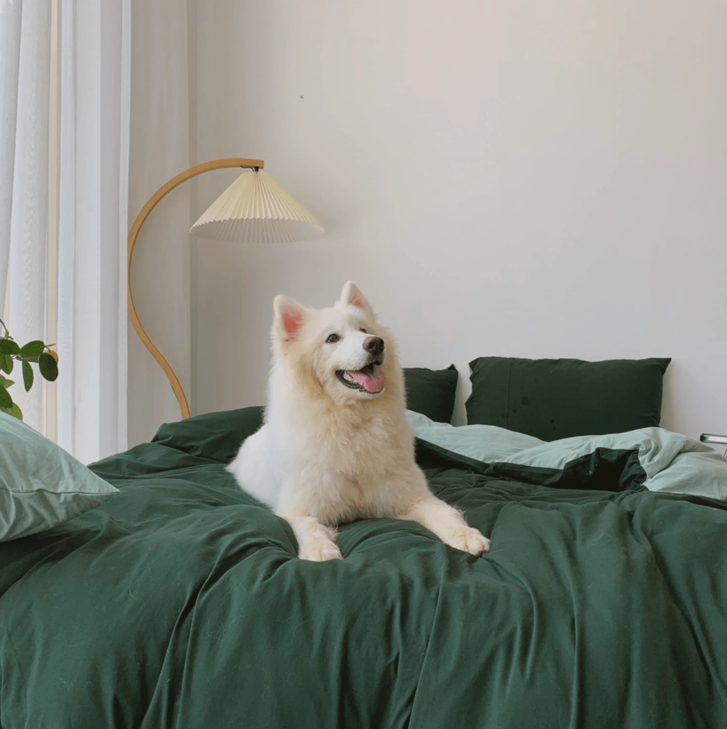 Duo Bedding Set / Forest Green Ever Lasting