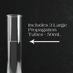 Modern white propagation station, self-watering planter, ceramic - House of Avana