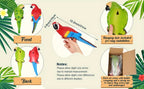 2pcs Art Deco Resin Parrot Sculptures - 12-Inch Lifelike Macaw Statues, Vibrant Green & Red Tropical Bird Wall Decor for Garden, Lawn, Tree, Outdoor Wedding Decoration, Wall-Mounted No Battery Needed, Garden Art | Detailed Fe House Of Avana