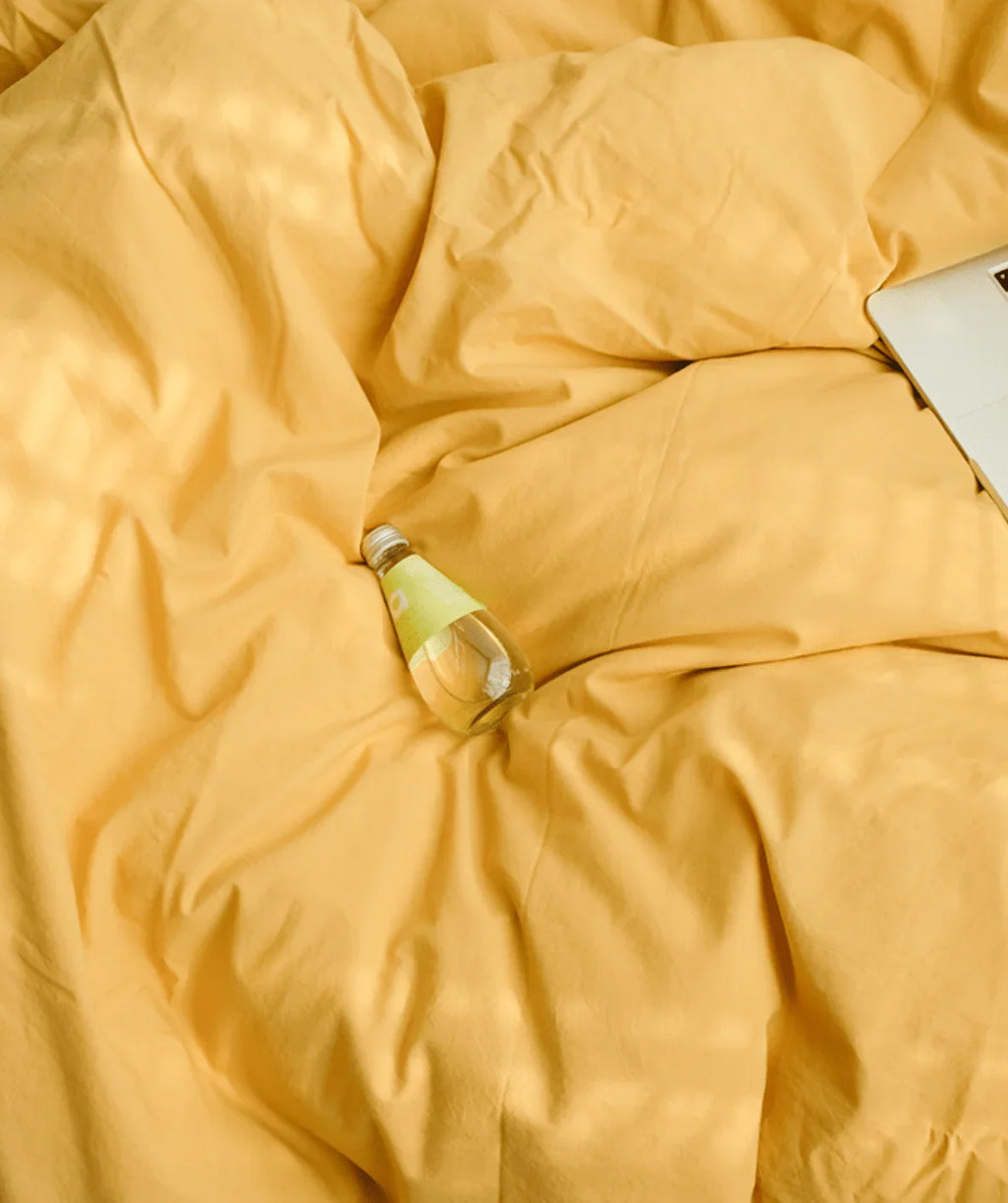 Earth Tone Bedding Set / Gray Ever Lasting