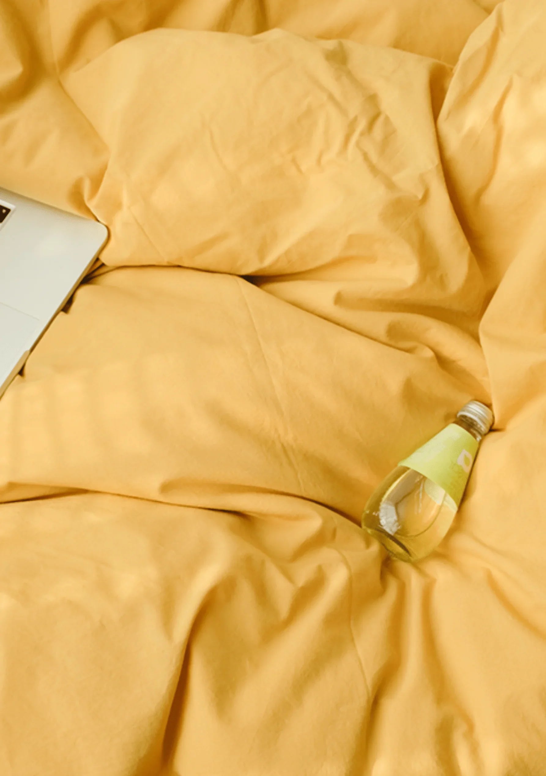 Earth Tone Bedding Set / Gray Ever Lasting