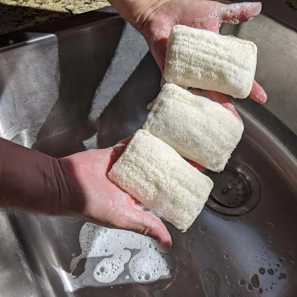 Eco Dish Washing Sponge 3 Pack - Loofah Zero Waste Outlet