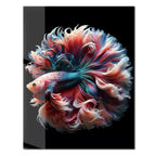 Elegant Betta Fish Flow – Colorful UV Glass Wall Art with Fluid Fin Design-KAFCD080 Peony Atelier