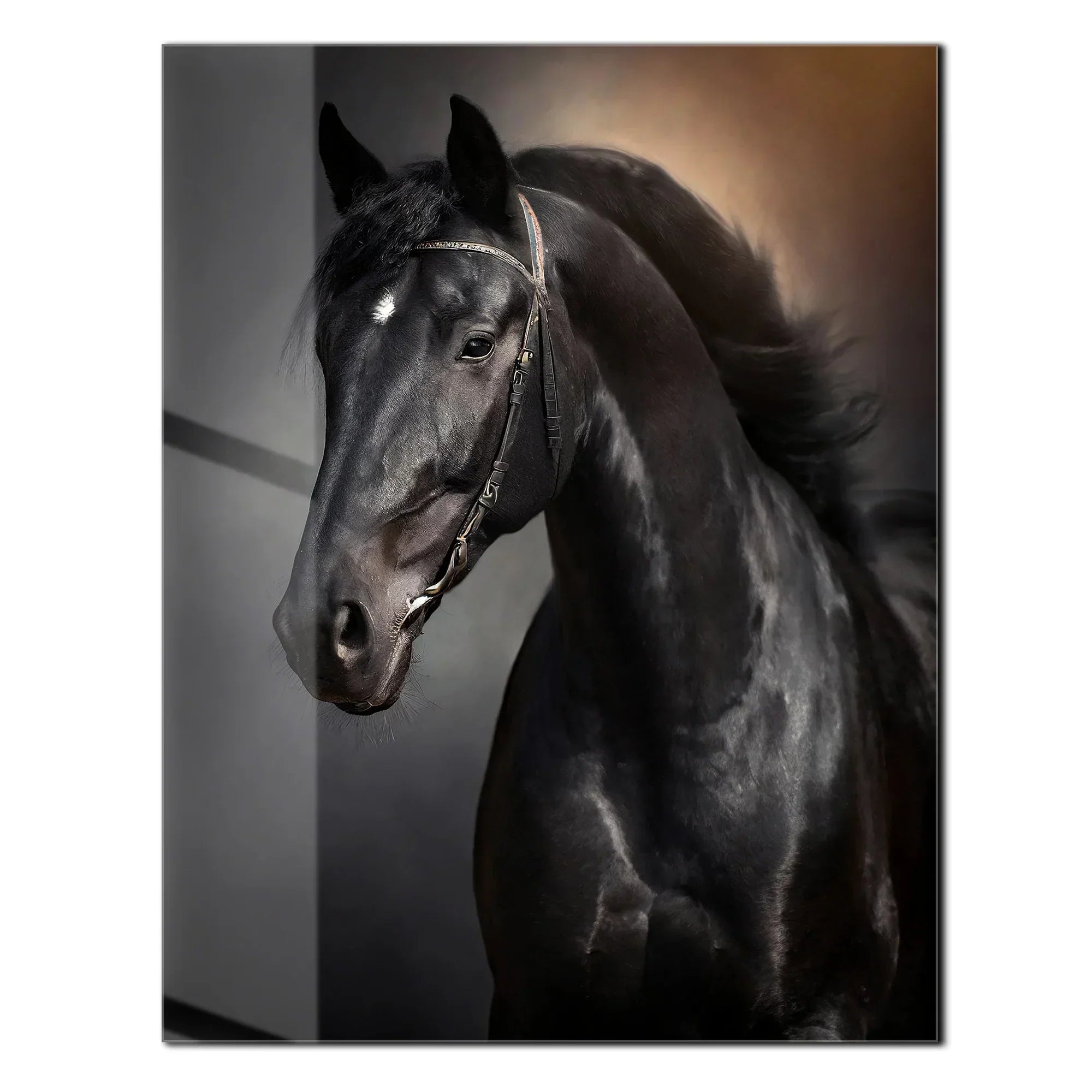 Elegant Black Horse Portrait UV Glass Wall Art – Majestic Equestrian Design-KAFCD065 Peony Atelier