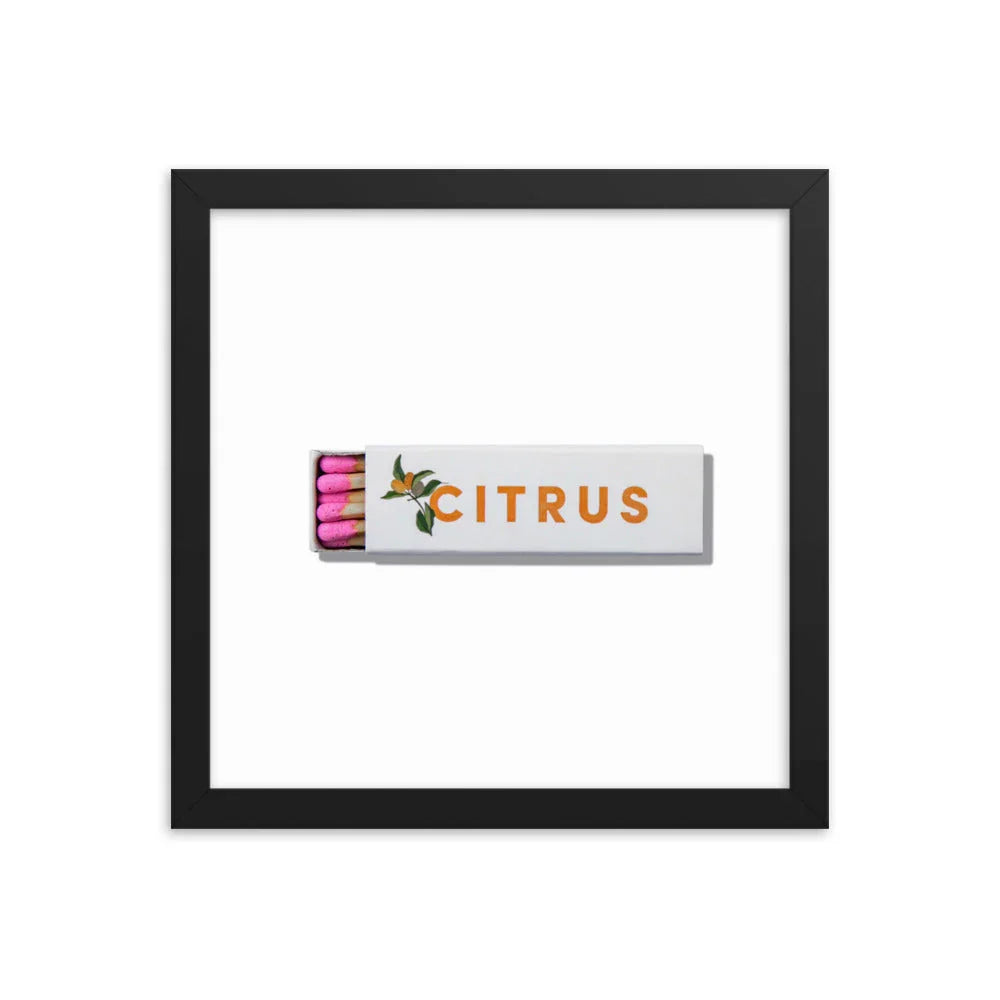 Citrus Club Framed Print matchbook photos