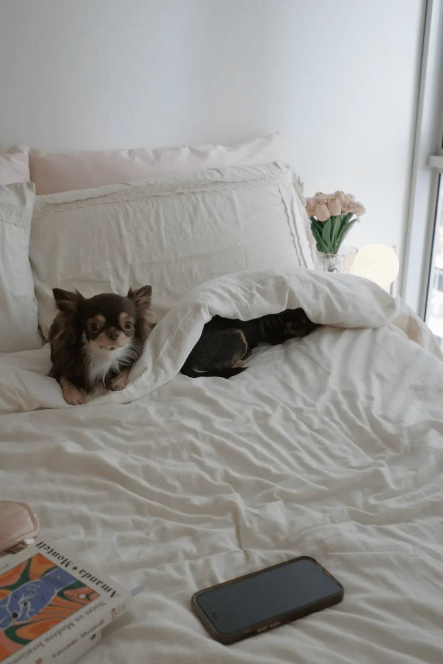 Esme French Linen Cotton Embroidered Floral Bedding Set / White Ever Lasting