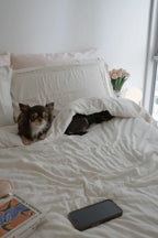 Esme French Linen Cotton Embroidered Floral Bedding Set / White Ever Lasting