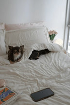 Esme French Linen Cotton Embroidered Floral Bedding Set / White