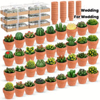 36pcs Succulent Candles Decorative Cactus Tealight Candle Novelty Tea Lights Handmade Baby Shower Candle Decorations Plant Candle with Mini Terracotta Clay Candle Holders for Wedding (Red) House Of Avana
