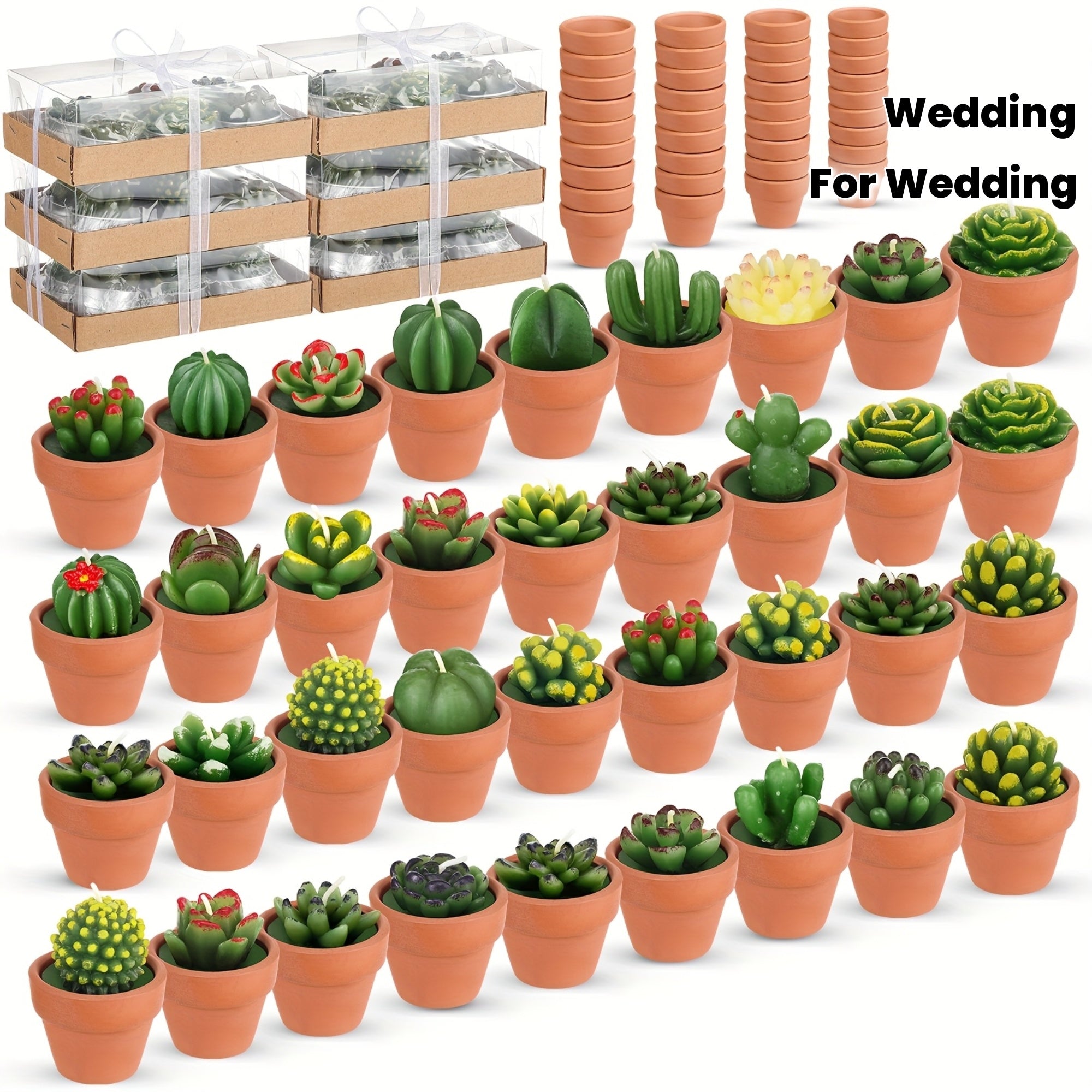 36pcs Succulent Candles Decorative Cactus Tealight Candle Novelty Tea Lights Handmade Baby Shower Candle Decorations Plant Candle with Mini Terracotta Clay Candle Holders for Wedding (Red) House Of Avana
