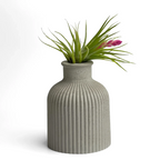 FAT MINI VASE | AIR PLANT HOLDER AURA 8 HOME