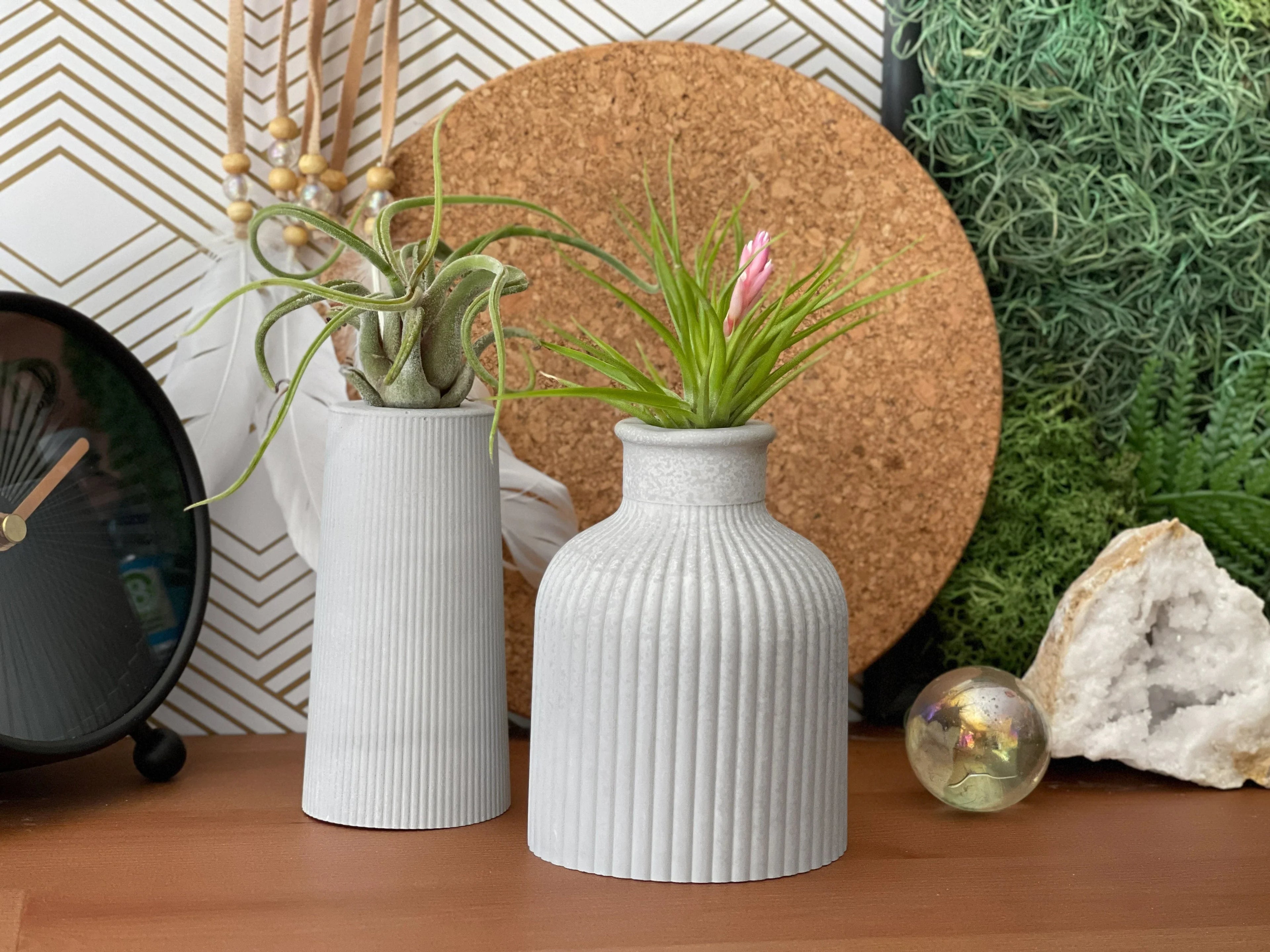 FAT MINI VASE | AIR PLANT HOLDER AURA 8 HOME