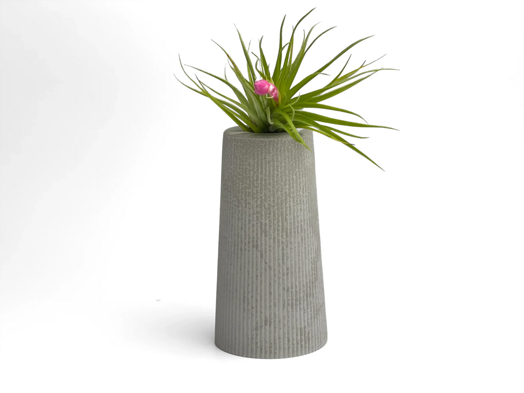 FAT MINI VASE | AIR PLANT HOLDER AURA 8 HOME