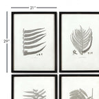 Black and white fern prints in wooden frames, set of 6 botanical art - House of Avana