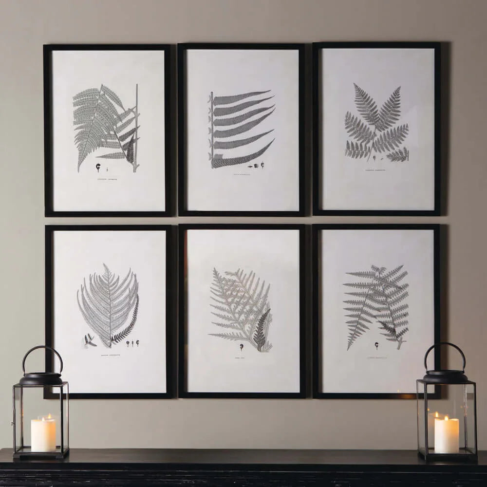 Black and white fern prints in wooden frames, set of 6 botanical art - House of Avana