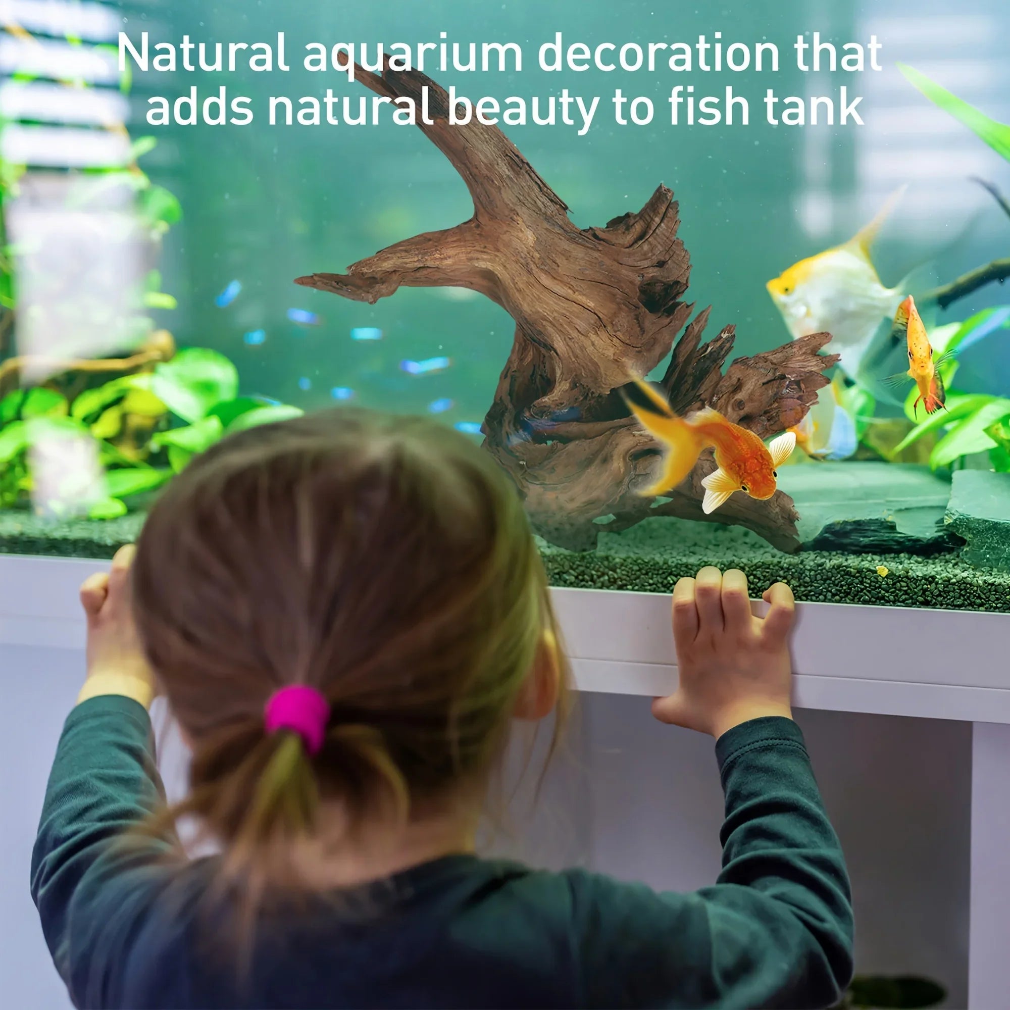 S Natural Large Driftwood for Aquarium Decor, Sinking Wood Fish Tank Decor for Aquarium, Reptile Tank - House Of Avana