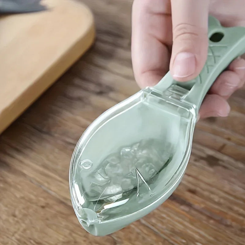 Fish Scraper - Easy Plastic