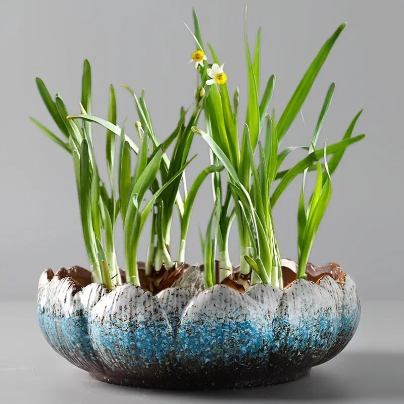 Casual Style Ceramic Flower Pot, Round Tabletop Hydroponic Planter, for Bulbs, Succulents, and Lotus,... - House Of Avana
