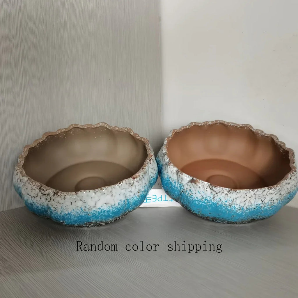 Casual Style Ceramic Flower Pot, Round Tabletop Hydroponic Planter, for Bulbs, Succulents, and Lotus,... - House Of Avana