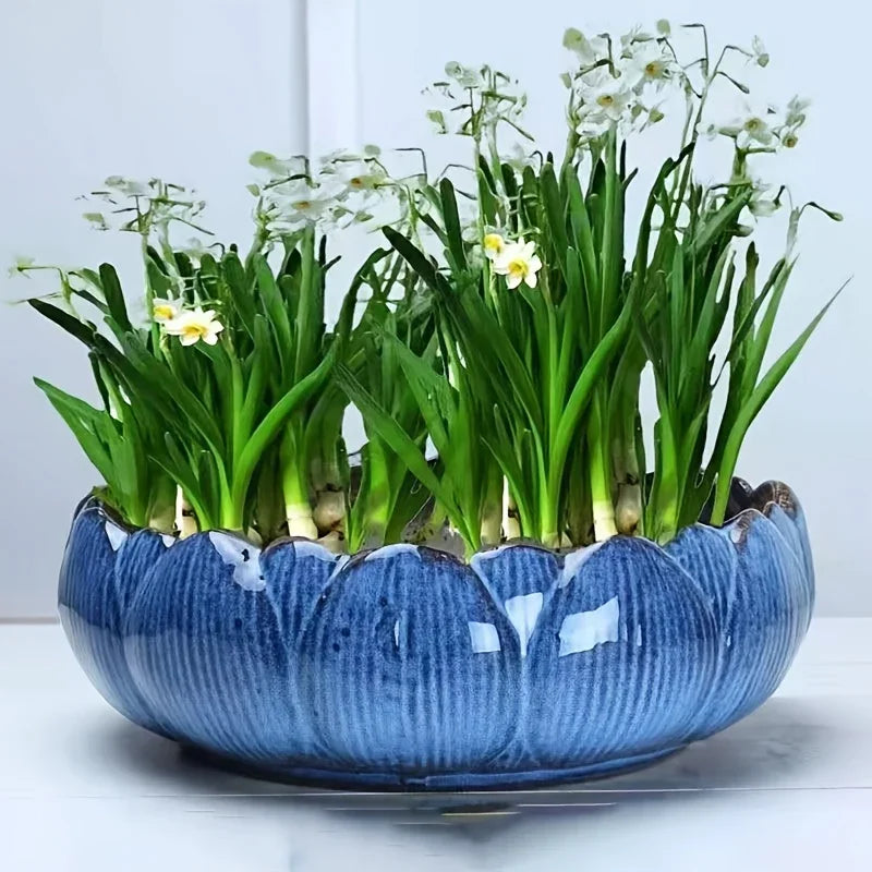 Casual Style Ceramic Flower Pot, Round Tabletop Hydroponic Planter, for Bulbs, Succulents, and Lotus,... - House Of Avana