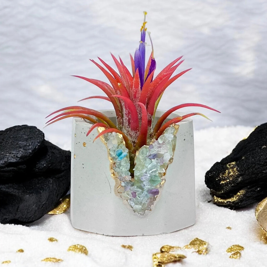 Fluorite Geode Planter Natural Stone Succulent Pot, front view - House Of Avana