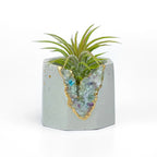 Fluorite Geode Planter Natural Stone Succulent Pot, close-up view - House Of Avana