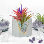 Fluorite Geode Planter Natural Stone Succulent Pot, back view - House Of Avana