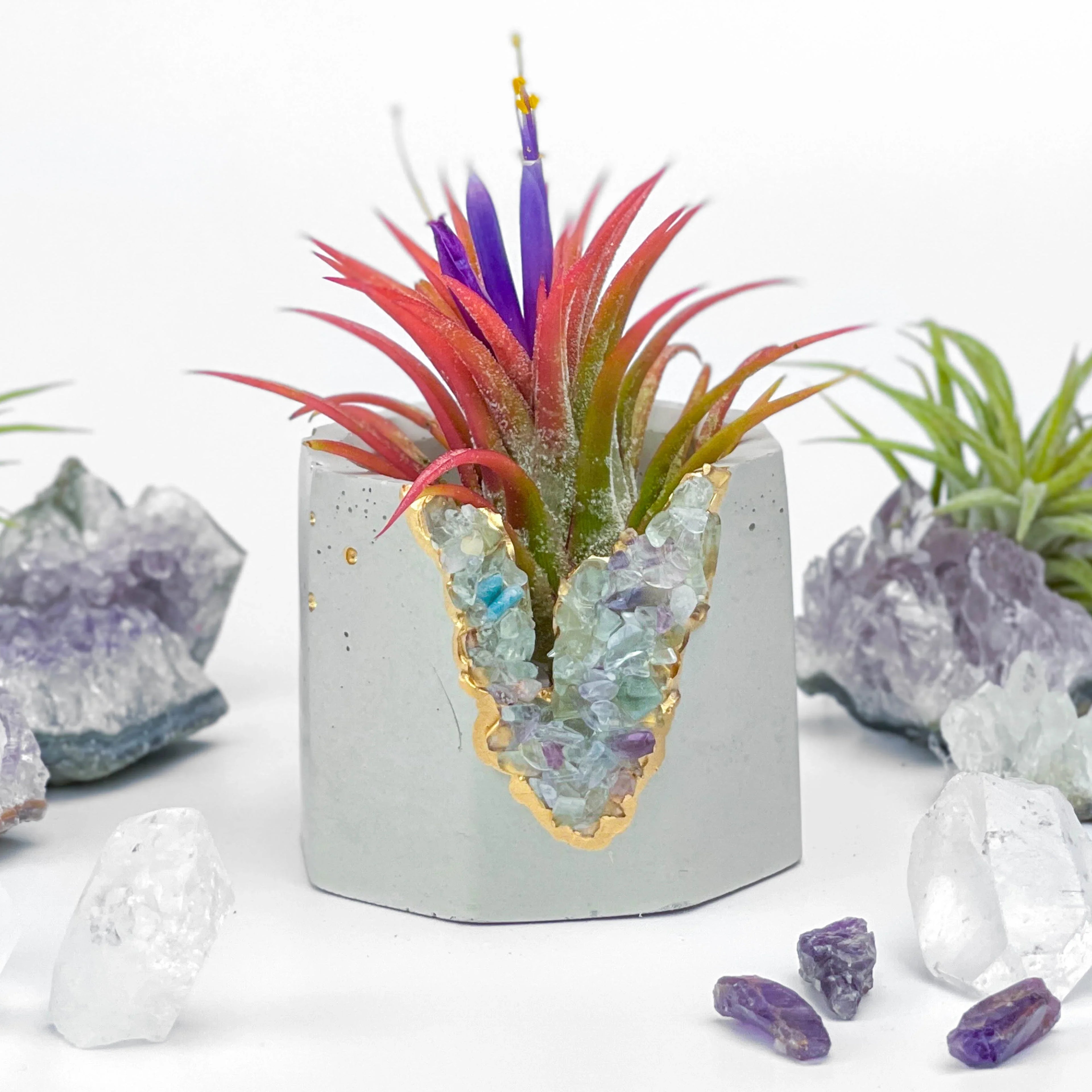 Fluorite Geode Planter Natural Stone Succulent Pot, back view - House Of Avana