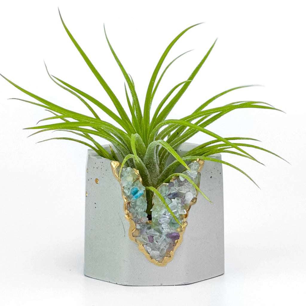 Fluorite Geode Planter Natural Stone Succulent Pot, side view - House Of Avana