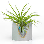 Fluorite Geode Planter Natural Stone Succulent Pot, side view - House Of Avana