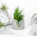 Fluorite Geode Planter Natural Stone Succulent Pot, detail shot - House Of Avana
