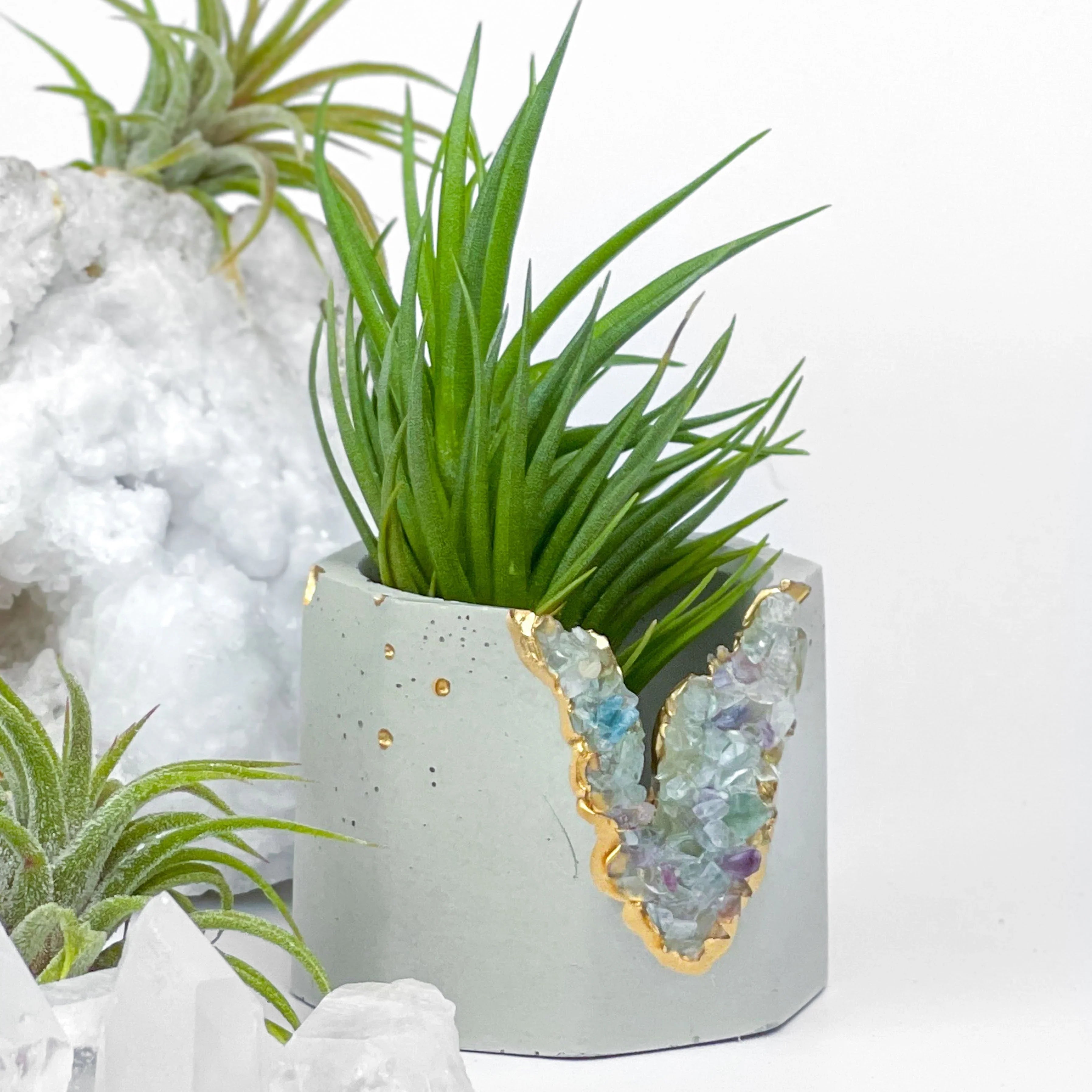 Fluorite Geode Planter Natural Stone Succulent Pot, lifestyle image - House Of Avana