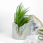 Fluorite Geode Planter Natural Stone Succulent Pot, top view - House Of Avana