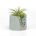 Fluorite Geode Planter Natural Stone Succulent Pot, angled view - House Of Avana