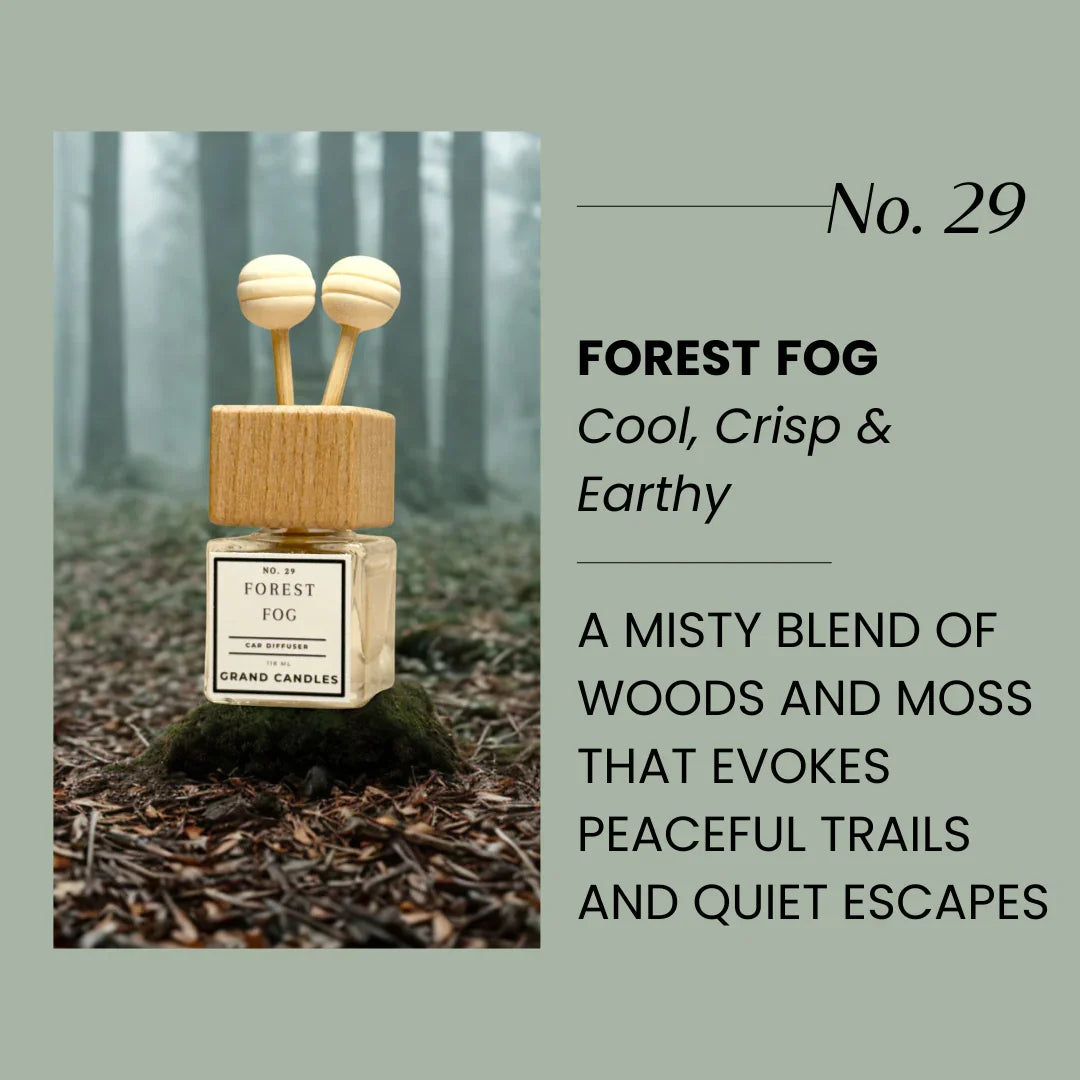 Forest Fog Car Diffuser Grand Candles LLC