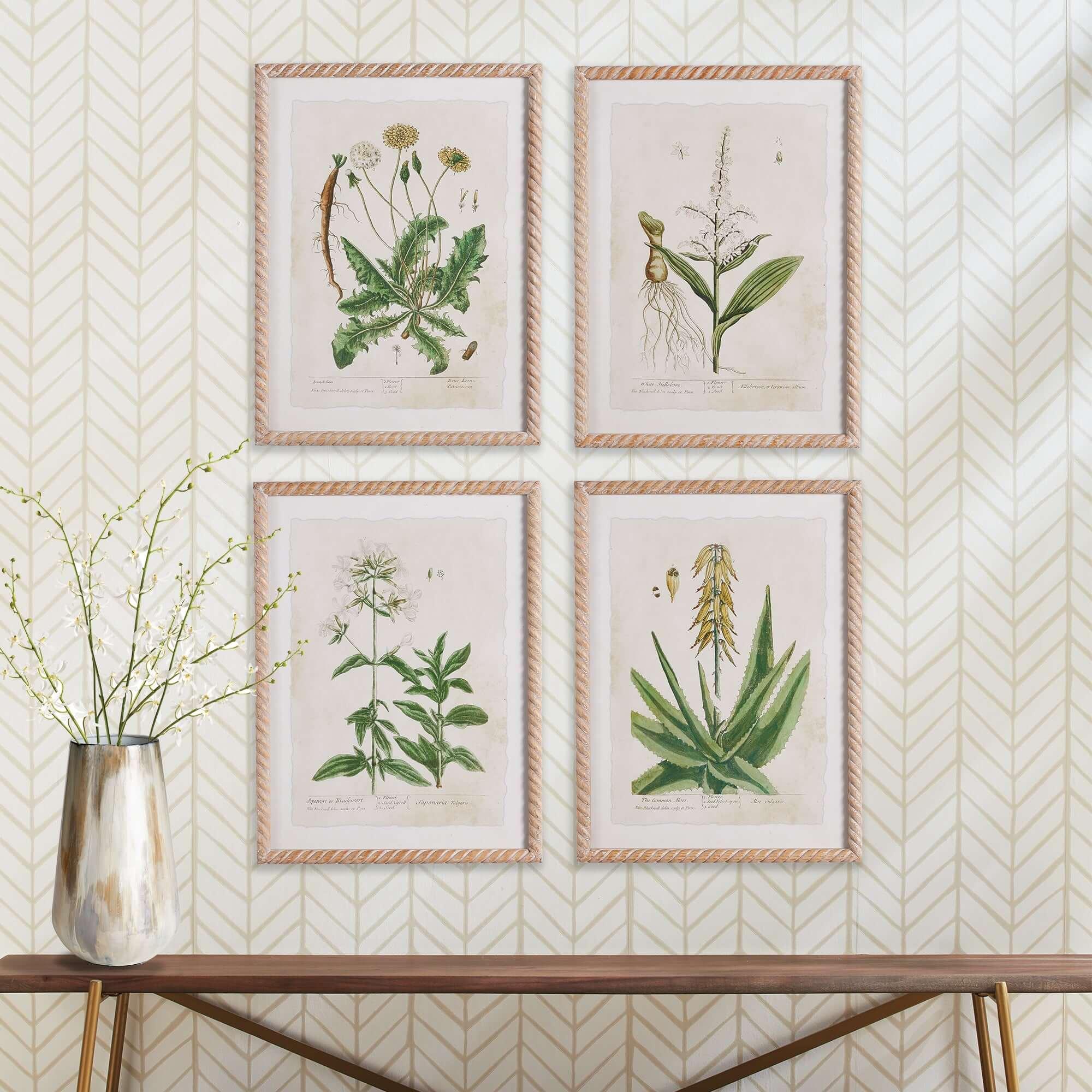 Framed Vintage Plant Illustrations for Cottagecore Decor (Set of 4) Vintage Shopper