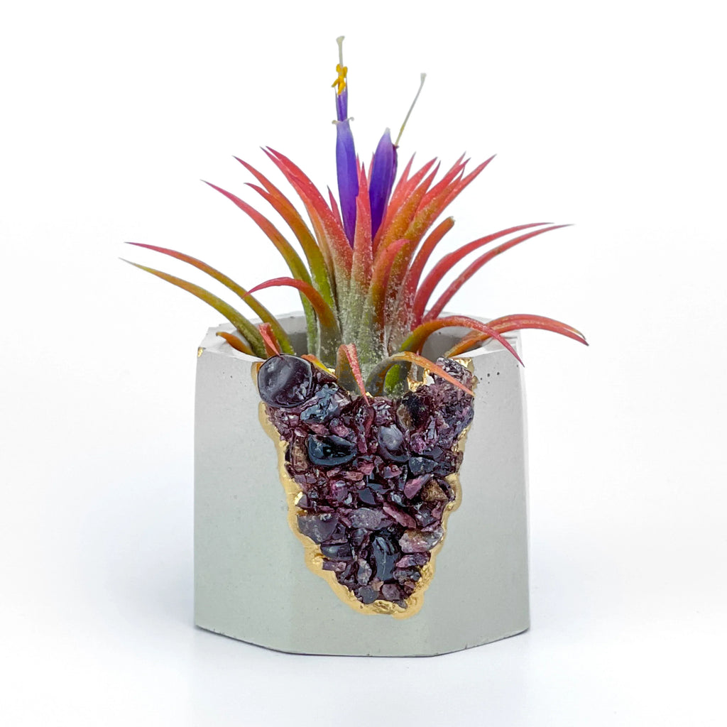 GARNET GEODE PLANTER AURA 8 HOME