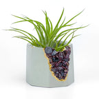 GARNET GEODE PLANTER AURA 8 HOME