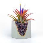 Garnet Geode Planter Natural Stone Indoor Decorative Plant Pot, side view - House Of Avana