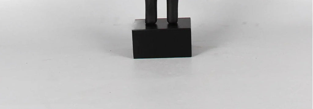 Geometric Sculpture - Black White Hollow Design, product packaging - House Of Avana