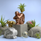 Glass Air Plant Holder for Men, Unique Body Shape Decor, front view - House Of Avana