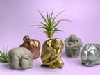 Glass Air Plant Holder for Men, Unique Body Shape Decor, back view - House Of Avana